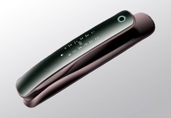 ZD98智能门锁（红古铜）